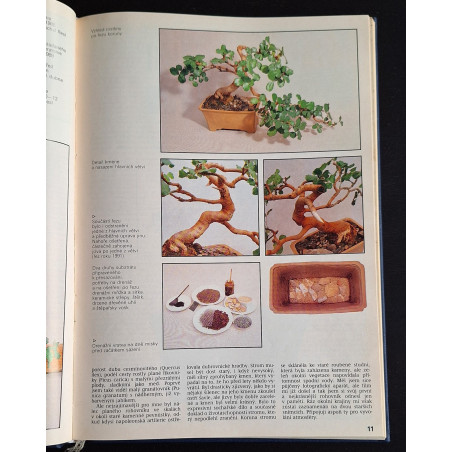 Magazin bonsai - súborné dielo