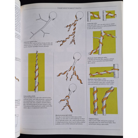 kópia z Magazin bonsai - súborné dielo